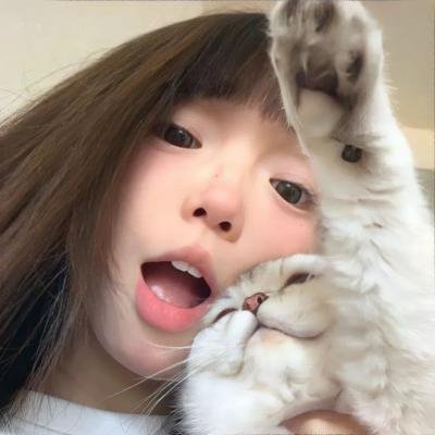 避风港